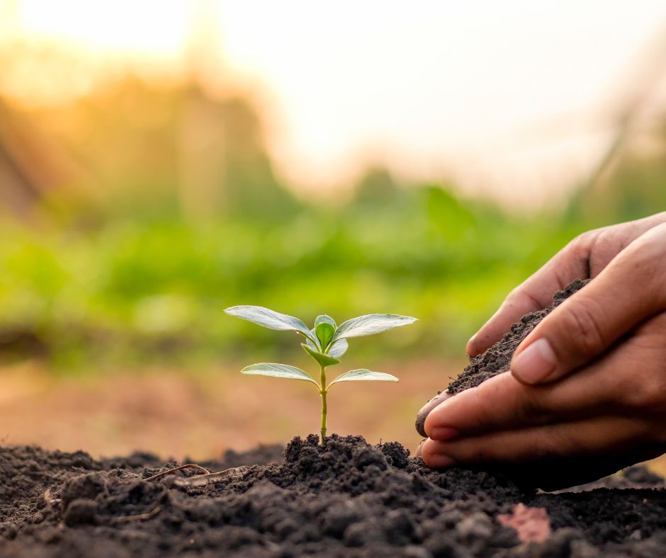 L’entourage et notre motivation